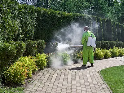 Landscape Services, Ramsey, MN