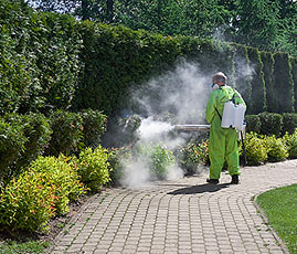 Mosquito, Ticks and Gnat Control